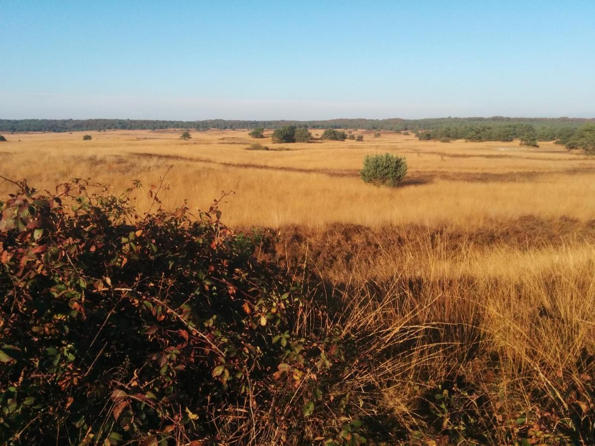 Chalet Hoenderloo Beuk מראה חיצוני תמונה