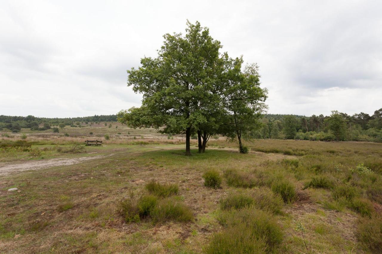Chalet Hoenderloo Beuk מראה חיצוני תמונה